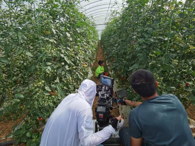 高效落地，商城县TVC拍摄公司助力品牌抢占市场先机
